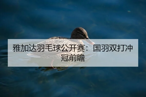 ya-jia-da-yu-mao-qiu-gong-kai-sai-guo-yu-shuang-da-chong-guan-qian-zhan-2-305.jpg